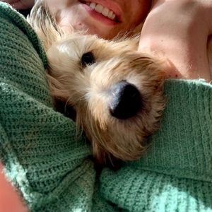 Meet your Posher, Heidi